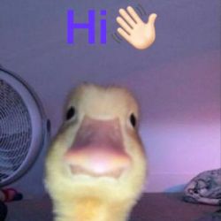 چهره‌و‌انسان را پیدا کن