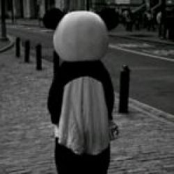 تست فراموش شدم 🙂💔