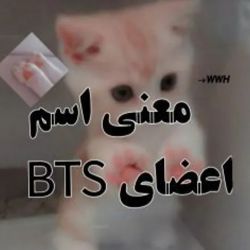 عکس معنی اسم اعضا BTS🥺🌸