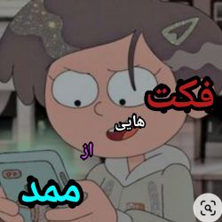 تست فکت از ممد