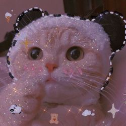 😍زبان انگلیسی😍