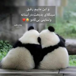 تست بیا‌و‌بخند2