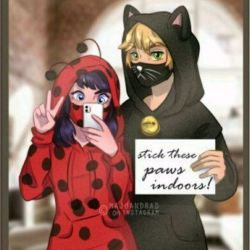 کاور