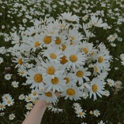 تست لذت بخش ترین قسمت زندگی اونجاست که... =)✨