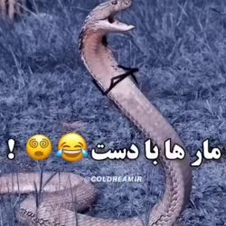 کاور
