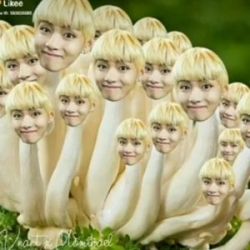 عکس با بی تی اس پاره شوید😂(p2)