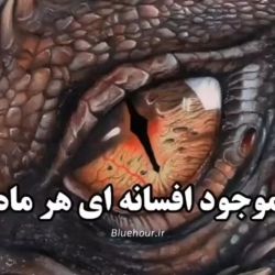کاور