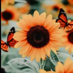 معنی واقعی دوست