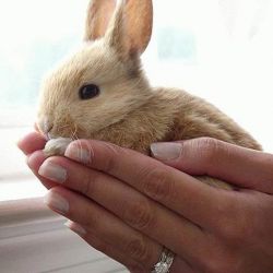 تستچی چه خبره؟💗😐