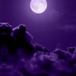 تست روانشناسی و شخصیت شناسی جالب