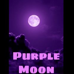 عکس بیوی‌گروه‌PurpleMoon 💜🌚