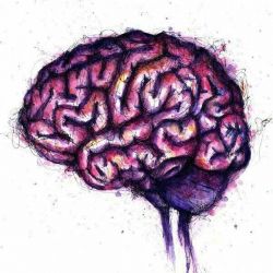 👽دانستی👽