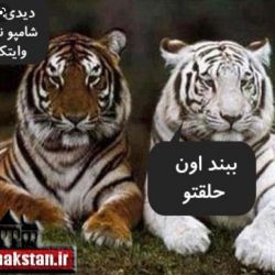 عکس 🤣جوک(حیوانی)🤣