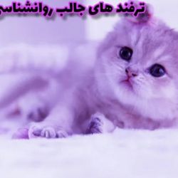 ترفند های جالب روانشناسی🧡•-•💜