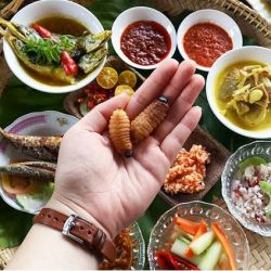 چ.ن.د.ش ترین غذا های دنیا 👨‍🍳🐙