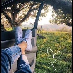 مثلا تو فردا میمیری