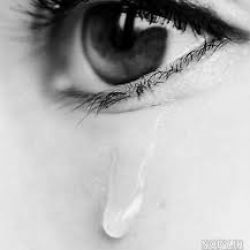 فکت های غمگین