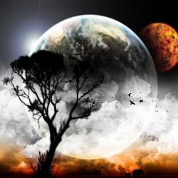 خوشگل ترین پروانه های دنیا