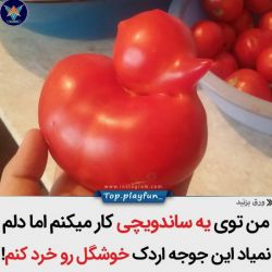غذاهای عجیب و بامزه 🙃😉😂