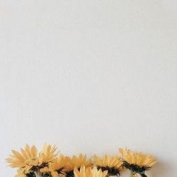 ایا فعال بلا.گ هستید ؟