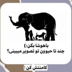 تئوری در باره ی خواب......