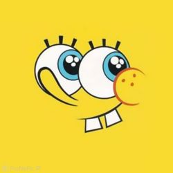 عکس تئوری باب اسفنجی 💥