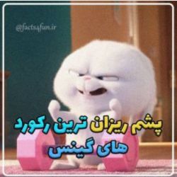 عکس رکورد های گینس ⬅️😐