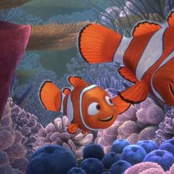 عکس تئوری در جستجو نمو