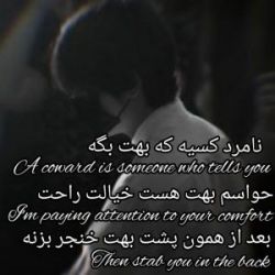 شاعر چینی میگه: