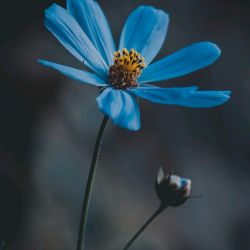 این فقط زیادی قشنگ و حق بود 🥺💚