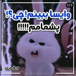 وایستا ببینم!چی؟!پشمامم!!!!