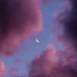 پارت ۲ عکس کیوت ✨