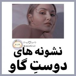 عکس نشونه های دوست گاو