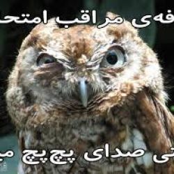 طنزp2