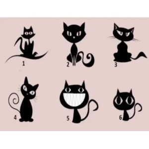 کدوم گربه انتخاب میکنی؟