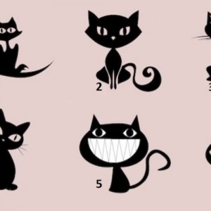 تست شخصیت شناسی گربه ای