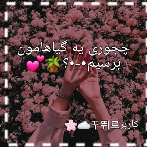 عکس چجوری به گیاهامون برسیم•-•؟🪴💕