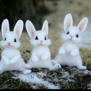 چقدر خوشگلی؟