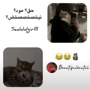 حق؟مود؟نیخصخصصخض