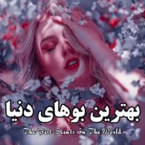 بهترین بو های دنیا 🌺🌷