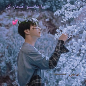 عکس بیا شانستو امتحان کن ببین کدوم عضو بی تی اس برات میوفته و بهت چی میگهه⁦⁦◉‿◉⁩✨