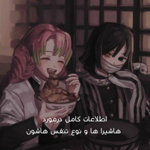 اطلاعات کامل در مورد هاشیرا ها