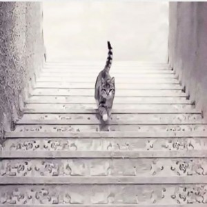 شخصیت شناسی 👶