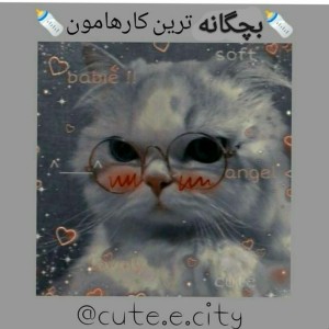 خز ترین کارهامون