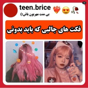 عکس ❦فکت های جالبی که باید بدونی:)🧁🦭