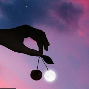 تستی مخصوص مشدیا✌😎