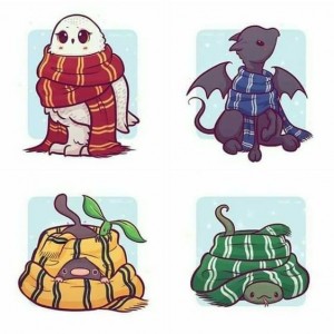 حقایقی درباره Herry Potter