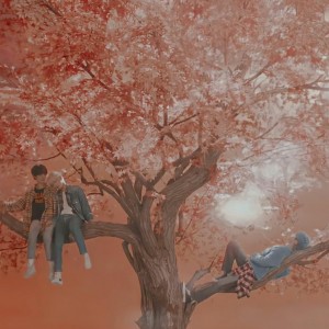 عکس آهنگ هایی که آیدل ها برای فن هاشون خوندن