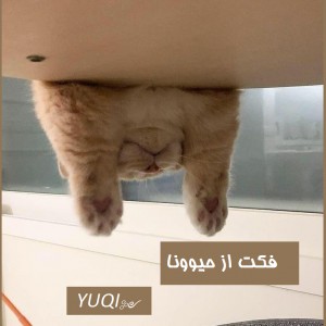 کاور