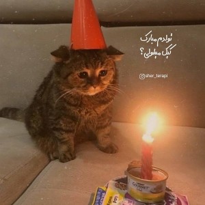 کاور
